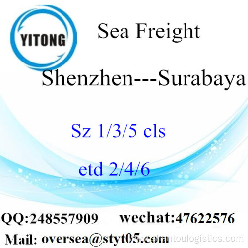 Shenzhen Port LCL Consolidation To Surabaya